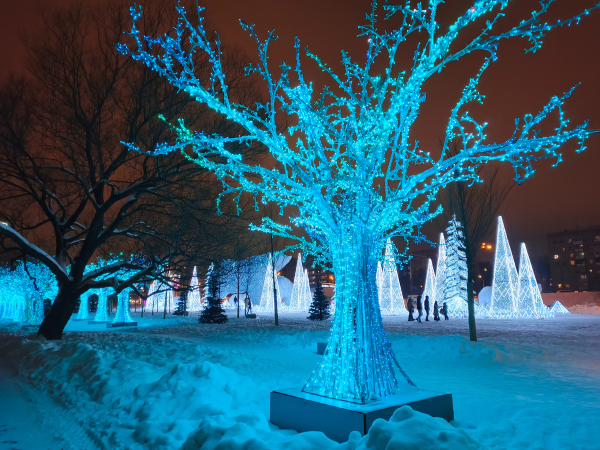 Личное фото автора 