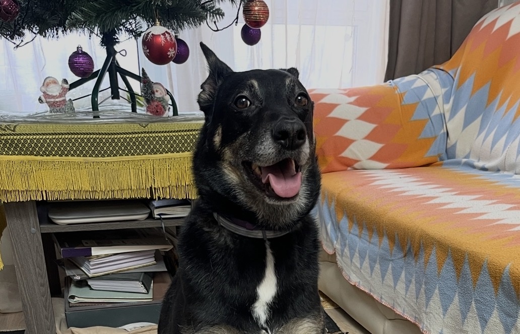 Хорошая история, правда?