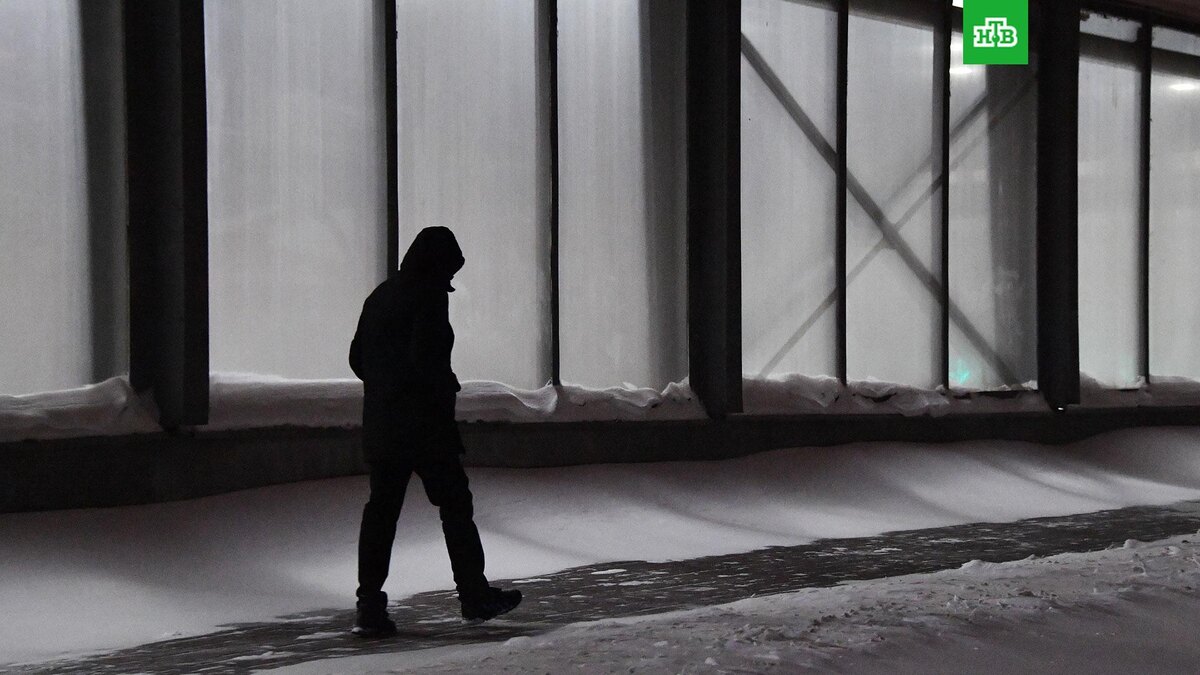    Фото: РИА Новости © 2026, Наталья Селиверстова