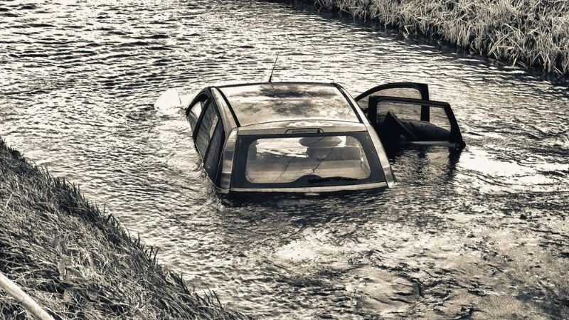    Фото: GagliardiPhotography/Shutterstock/Fotodom