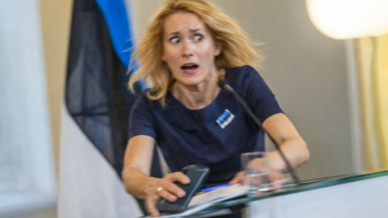    Бедняжке Каллас мечтать о победе не стоит, считает Кедми. Фото: Коллаж редакции.