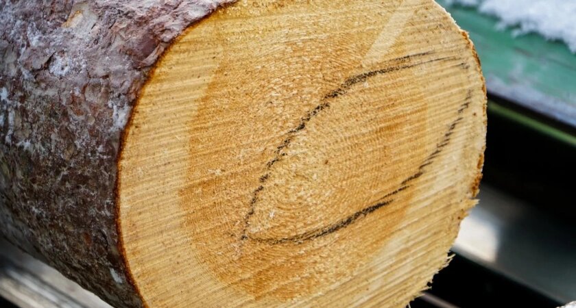    Фото с сайта правительства Иркутской области