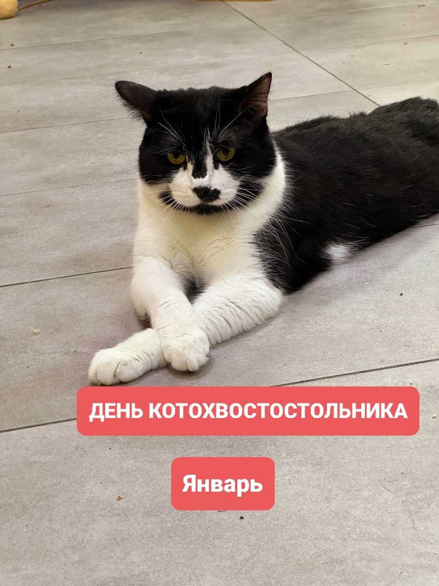 Мэнни. Сегодня у нас принимает подарки.