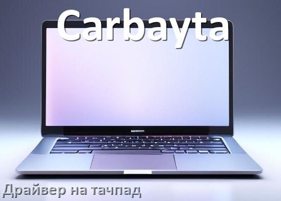 
Драйвер для тачпада на ноутбук Carbayta с Windows 11 и 10