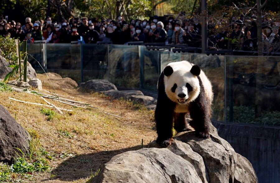     / Источник: © FRANCK ROBICHON/EPA/ТАСС