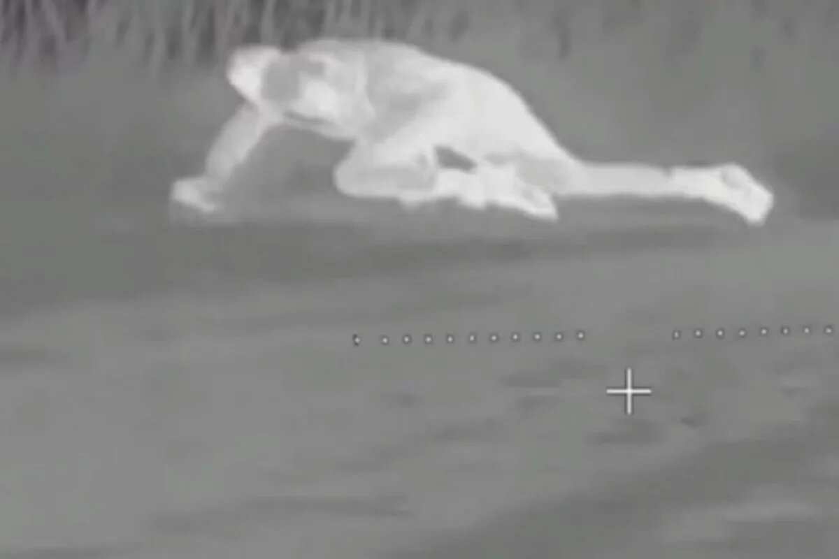    Трупный запах до обморока: Зеленский бросил горы тел боевиков у Гуляйполя