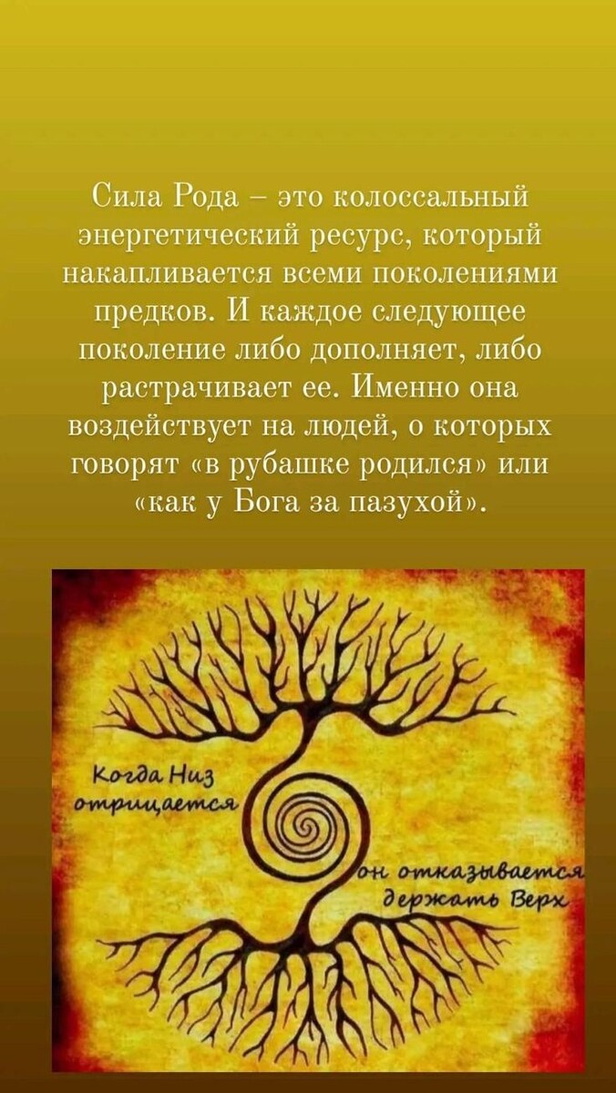 Фото: https://pin.it/9w4Pa9roH