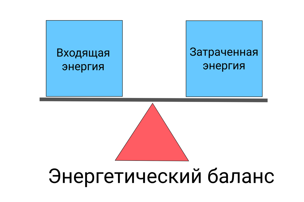 Калорийность рациона и наши энергозатраты - вот что определяет будем мы накапливать жир или терять его