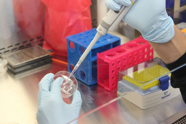     Фото: pixabay.com