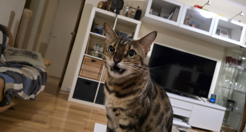    Фото Анастасии Дмитриевой