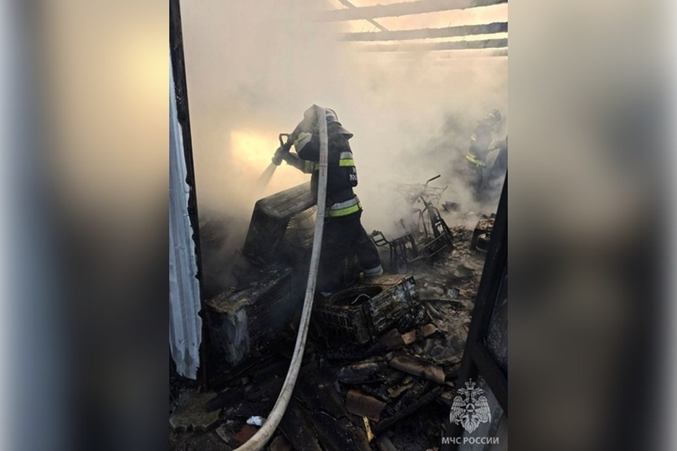    Три пожара потушили в регионе. Фото: ГУ МЧС России по Херсонской области