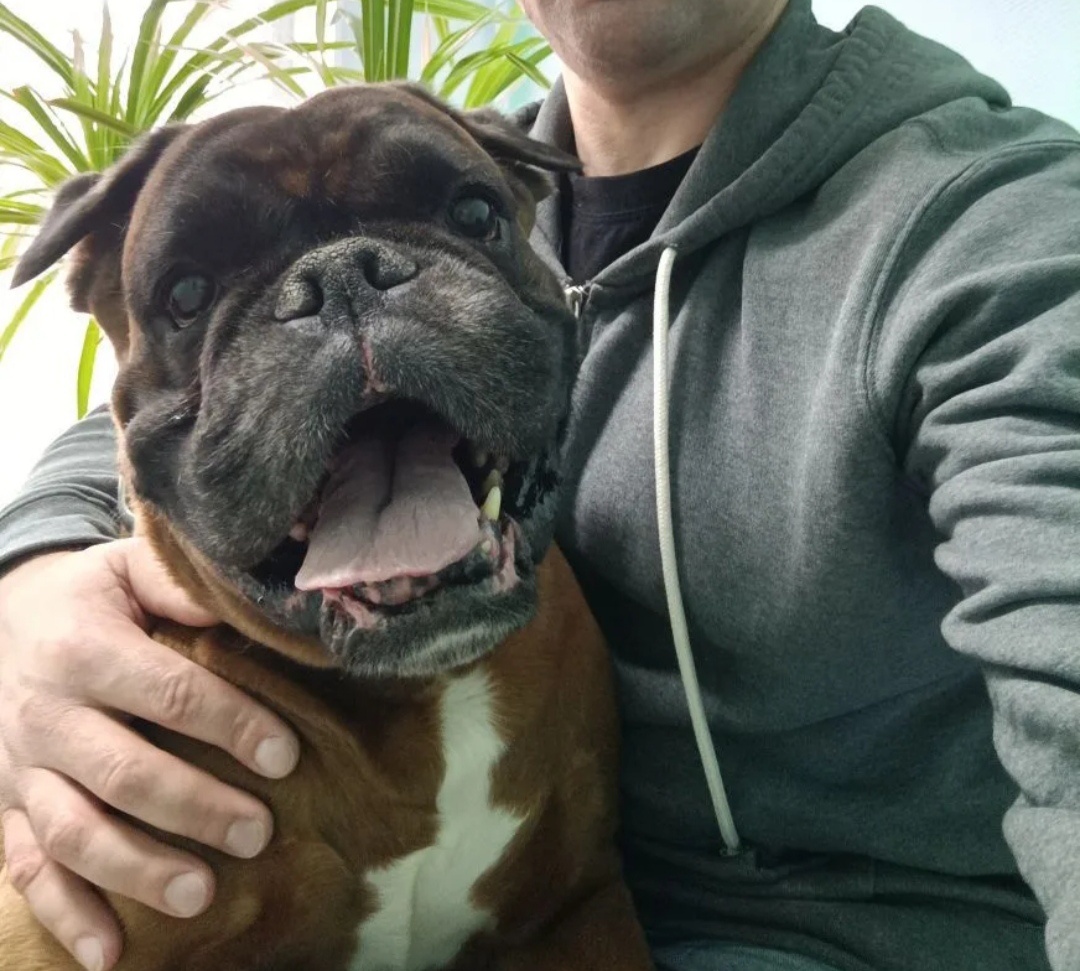 На прививку пришли... 