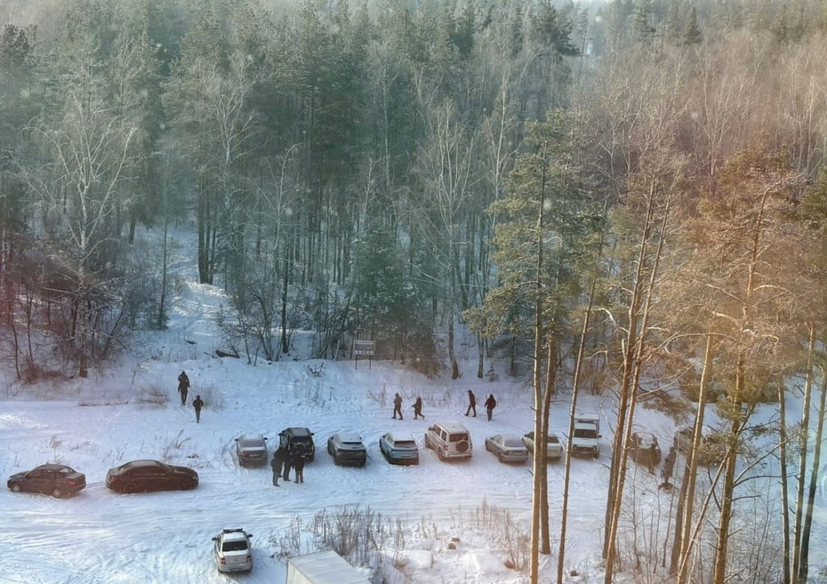     Лес, в котором нашли Александру