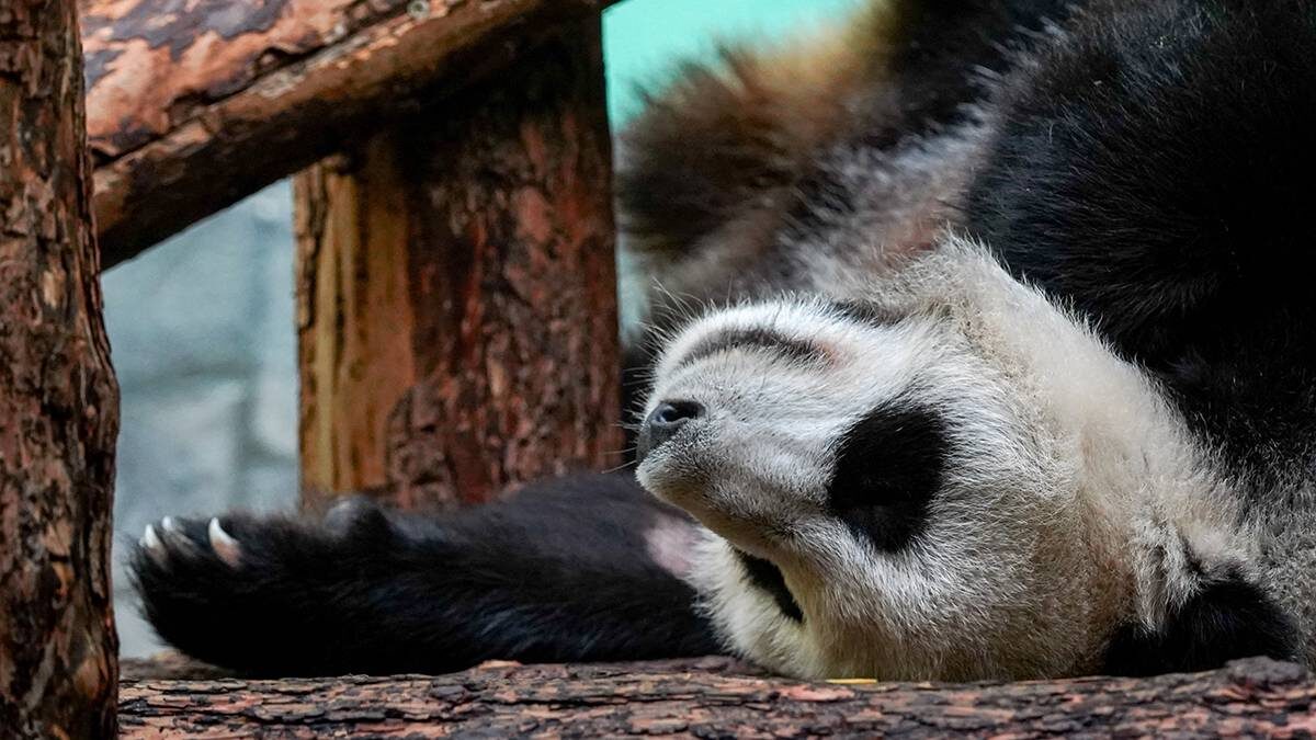    Фото: Александр Авилов / АГН Москва