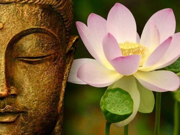 Лотос-могущественный символ буддизма, олицетворяющий чистоту и просветление.