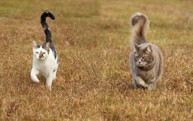 Фотография из интернета