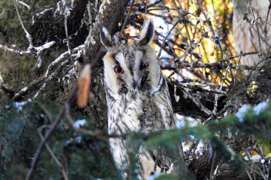    Фото: Татьяна Калугина