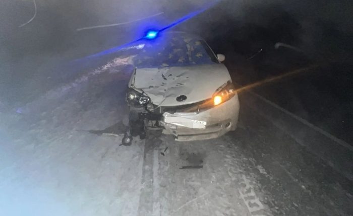 Пешеход погиб на трассе в Новосибирской области под колесами «Тойоты»