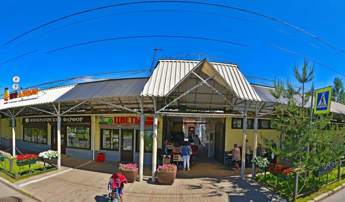 фото из интернета