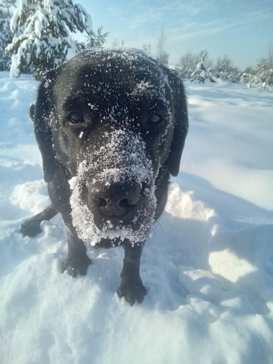 Фото автора. 