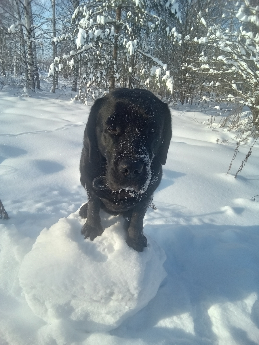 Фото автора. 