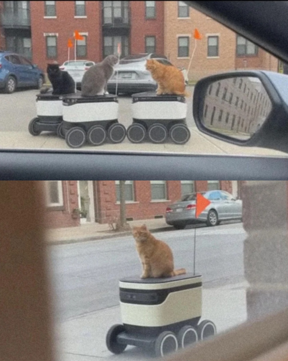 Повелители машин