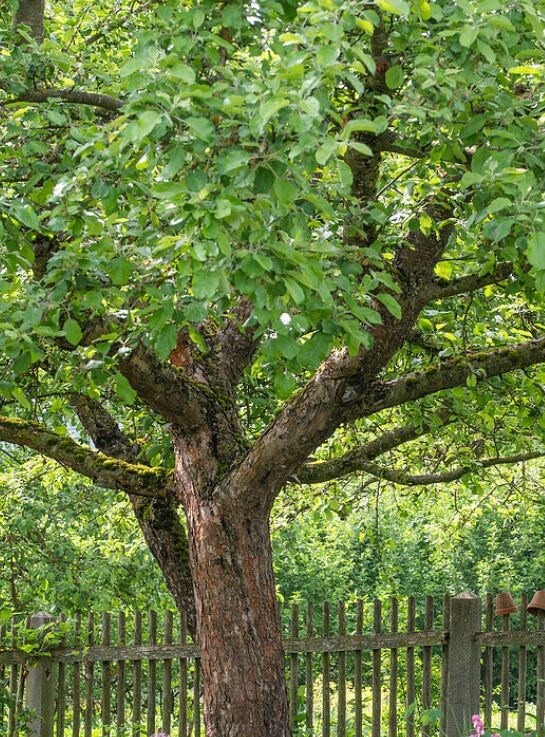 Фото из открытых источников