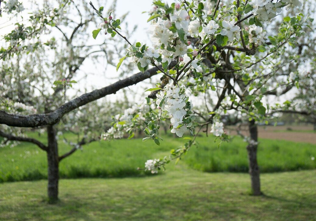 Фото из открытых источников