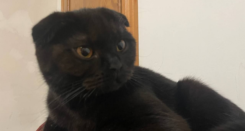    фото из архива редакции