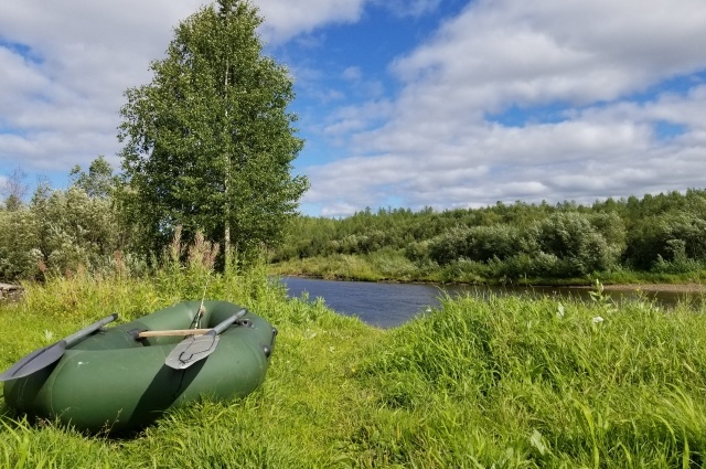    Под посещение заповедника туристскими группами выделен 1% территории. Фото: АиФ/ Татьяна Татаринова