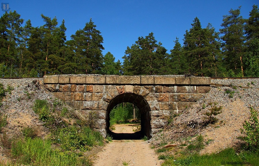 утепровод, построенный в 1914-16 г.г., вблизи станции Ермилово (со стороны Приморска). Фото: А. Машинистов, 2015 г.