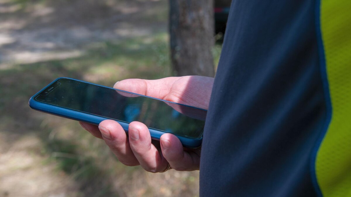    Фото: Svetlana Vozmilova/globallookpress.com