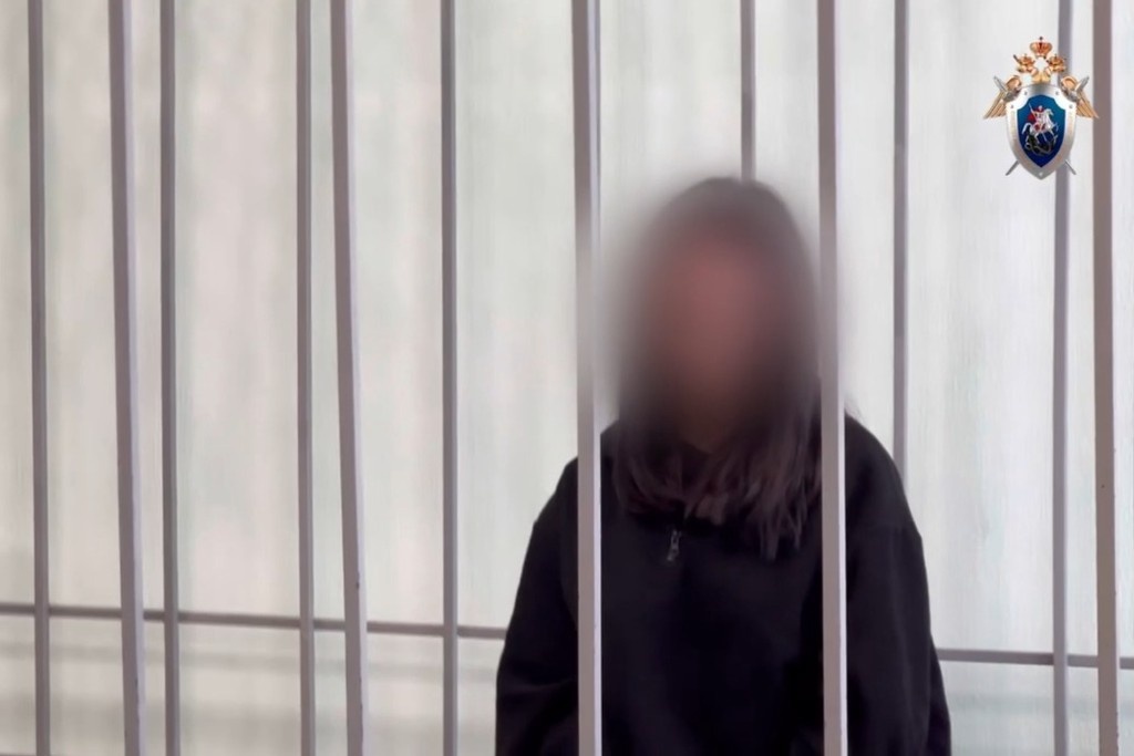    Фото © Telegram / ГСУ СК России по Красноярскому краю и Республике Хакасия