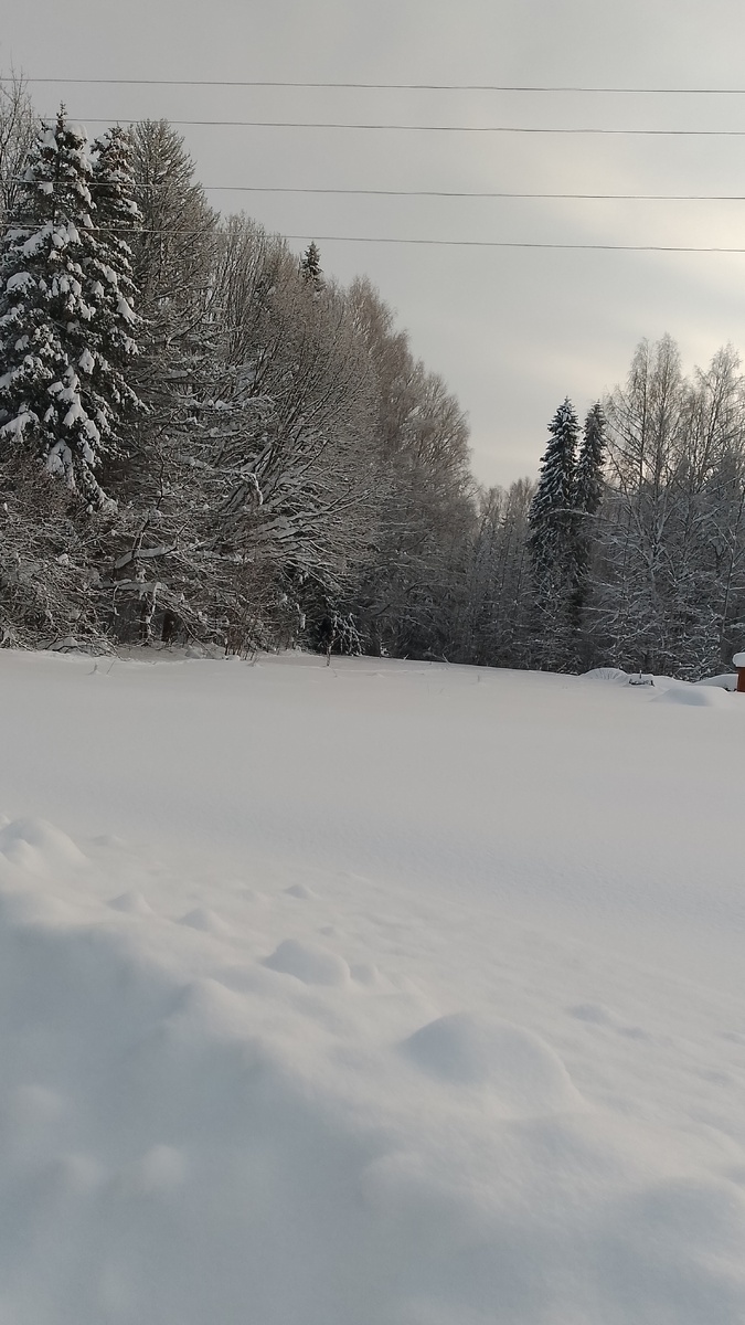 Наша деревенское зимнее царство😊