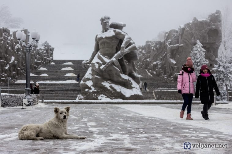 Фото: Volganet.net