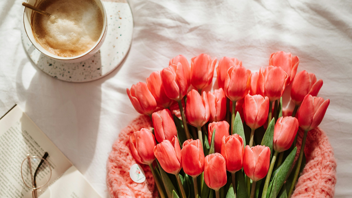     olimpia campean/Unsplash