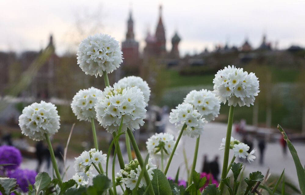   Детальный прогноз на май ни климатологи, ни синоптики давать не решаются. Фото: АГН Москва/ Ярослав Чингаев