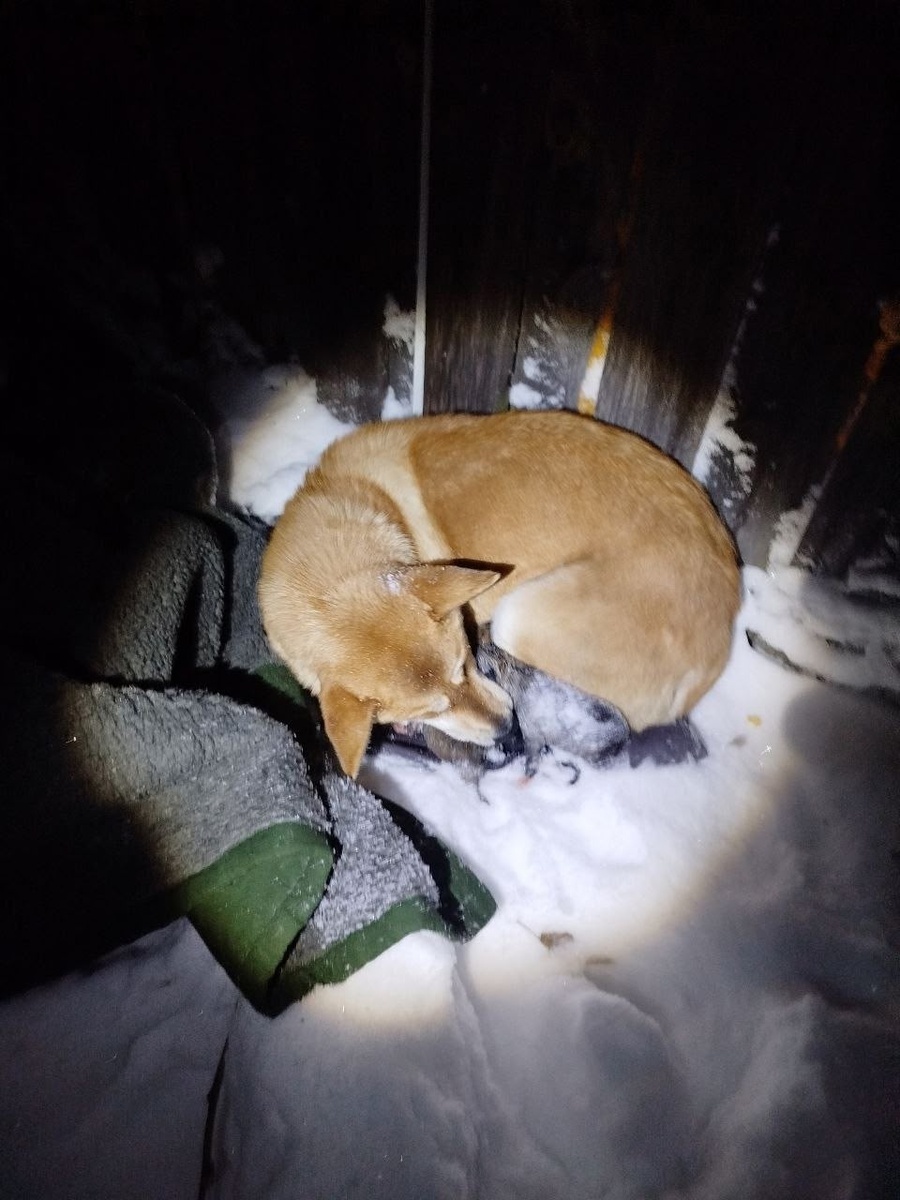    Подслушано l Кемь / ВК