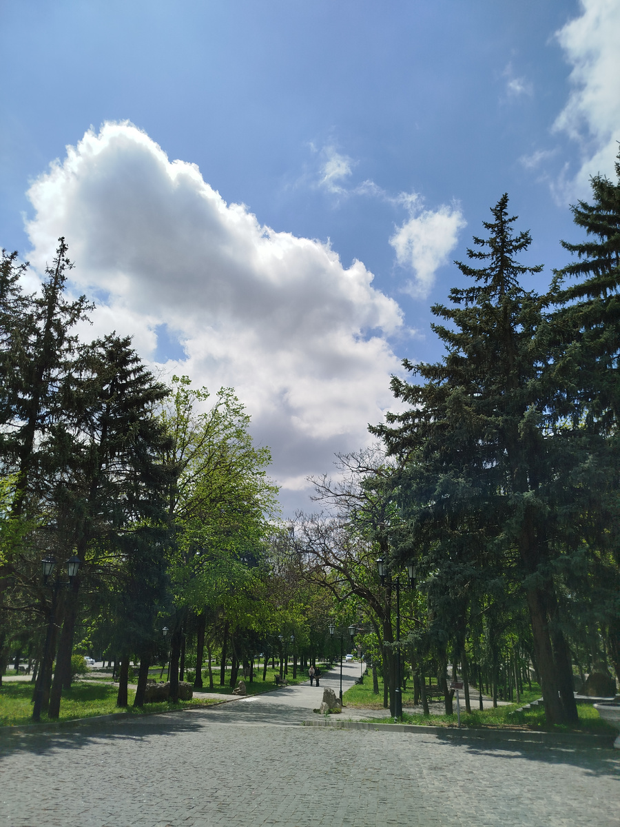 Фото автора.