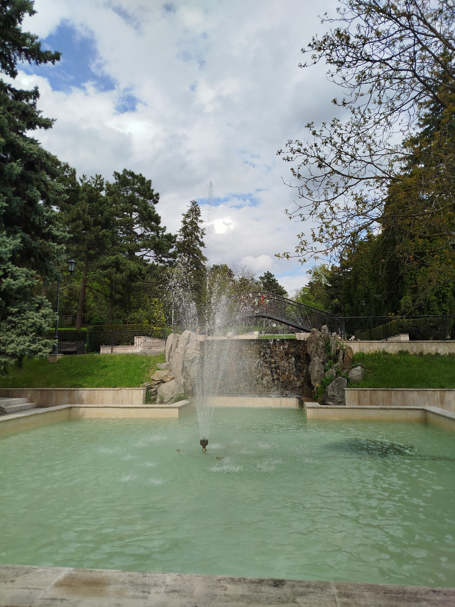 Фото автора.