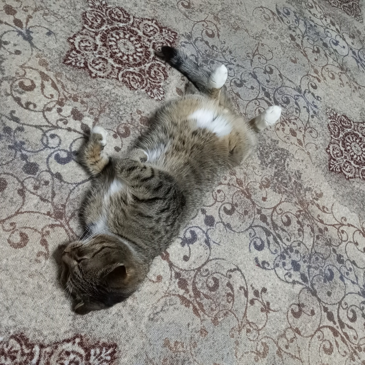 Не жизнь, а сказка!