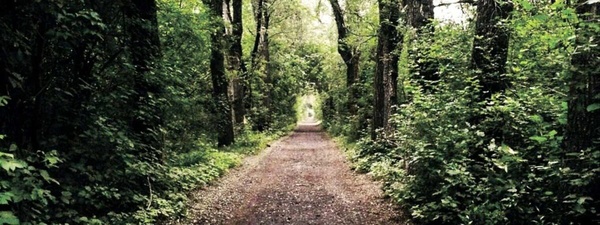 Роща Баума в Алма-Ате, жуткое место...