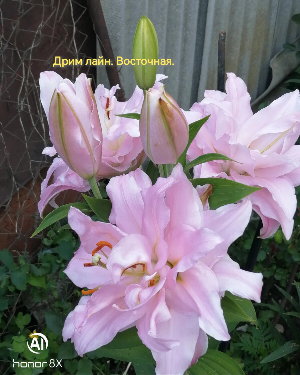 фото Валентины