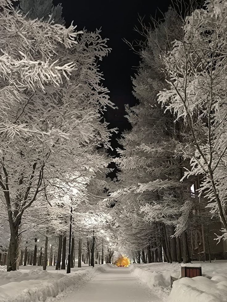 Фото Вероники Н.