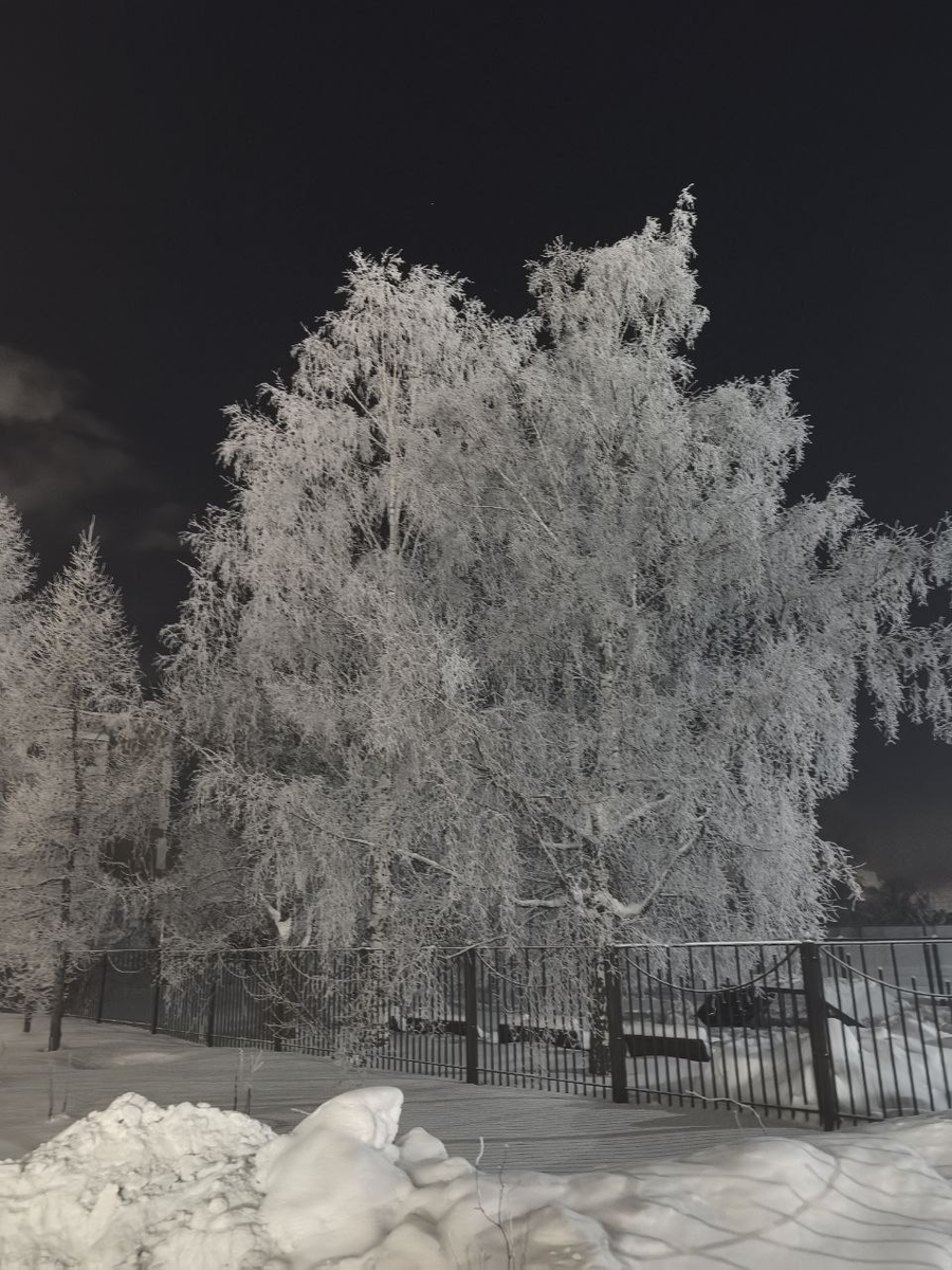 Фото Вероники Н.