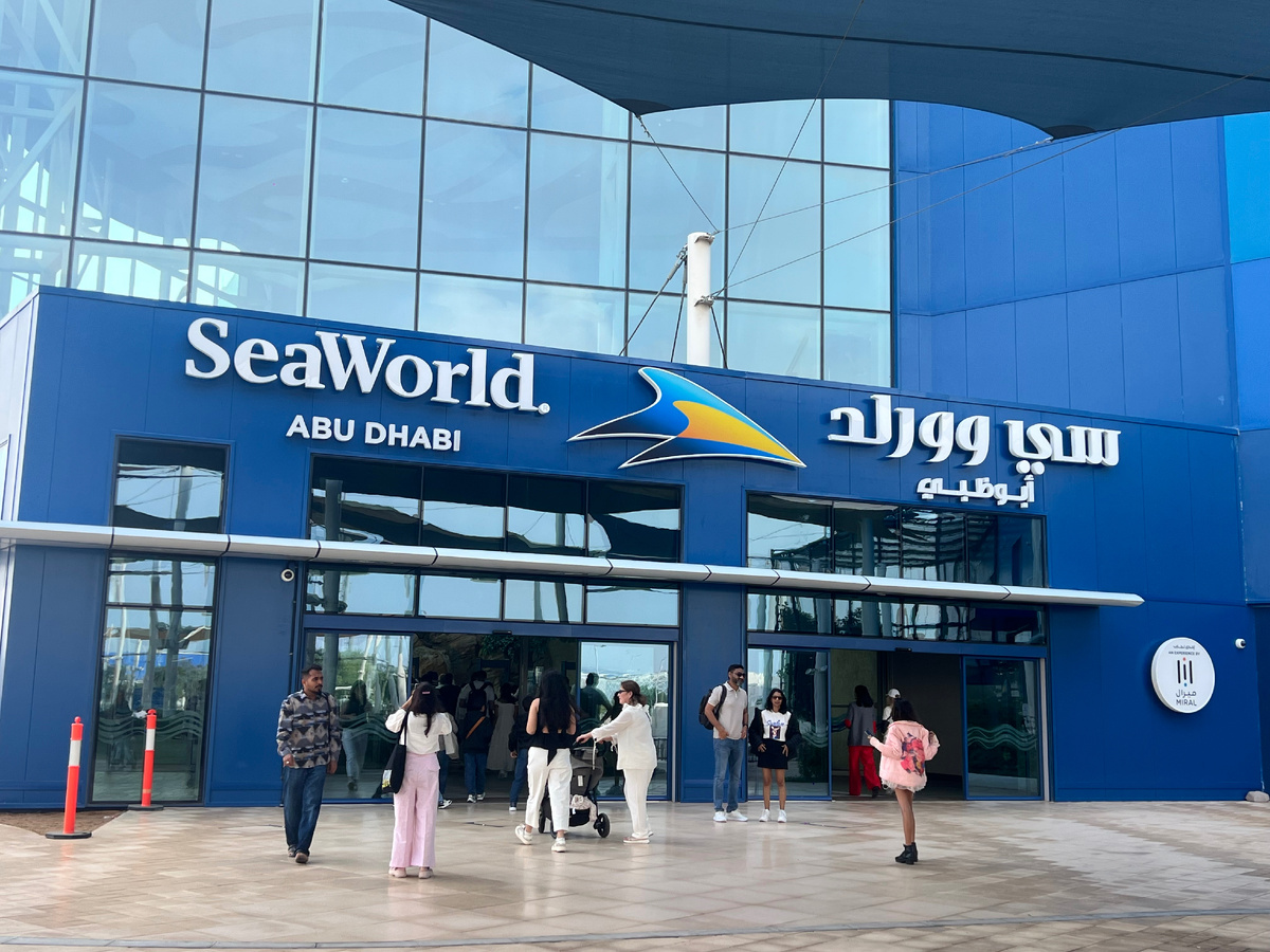 Все фото в статье авторские. Декабрь 2025