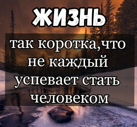 Яндекс Картинки