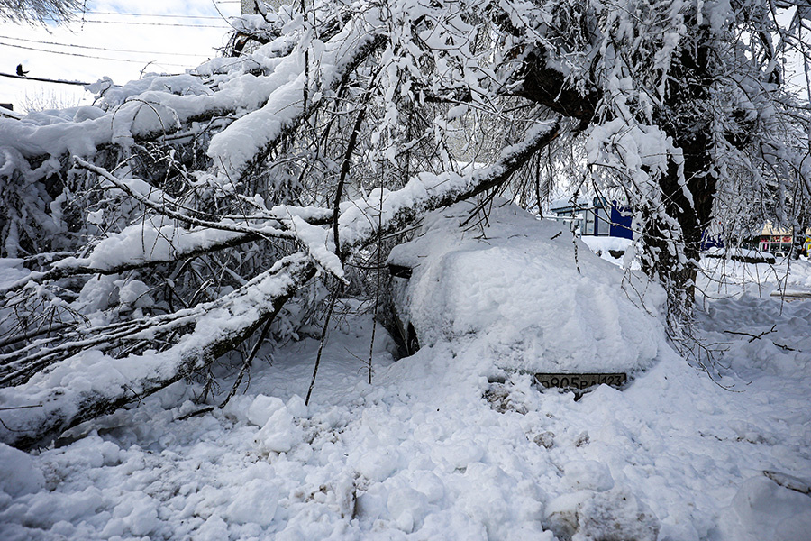    © Виталий Тимкив/РИА Новости