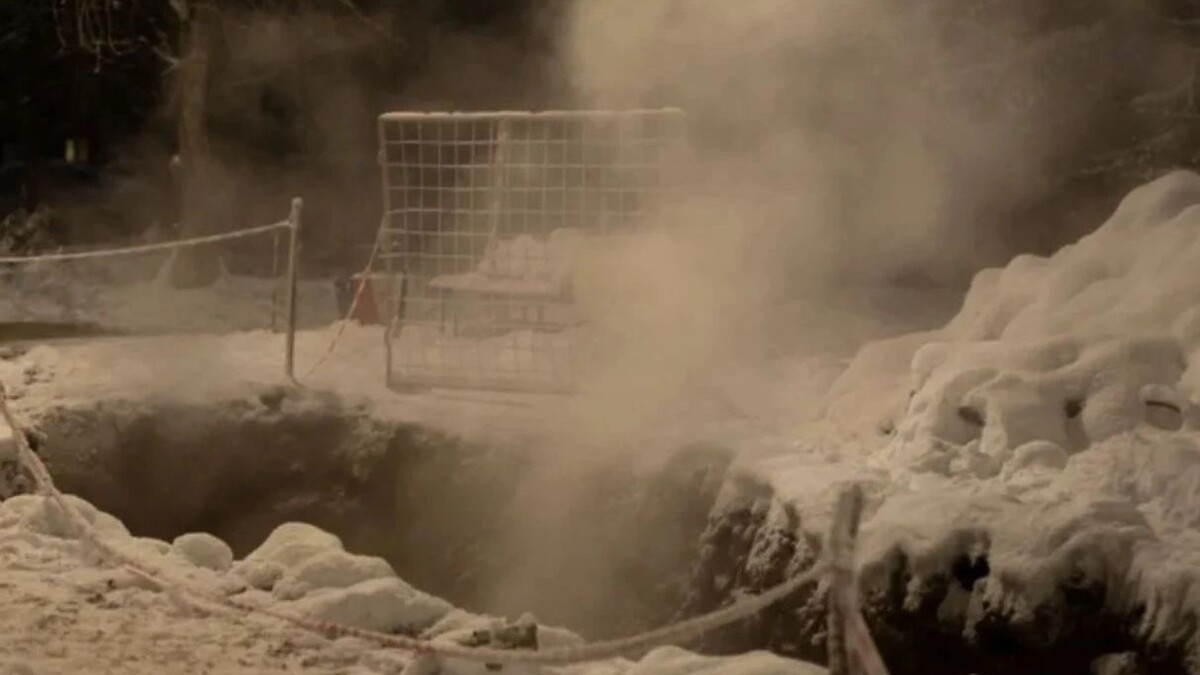    Фото: Oleg Kopyov/shutterstock.com/Fotodom