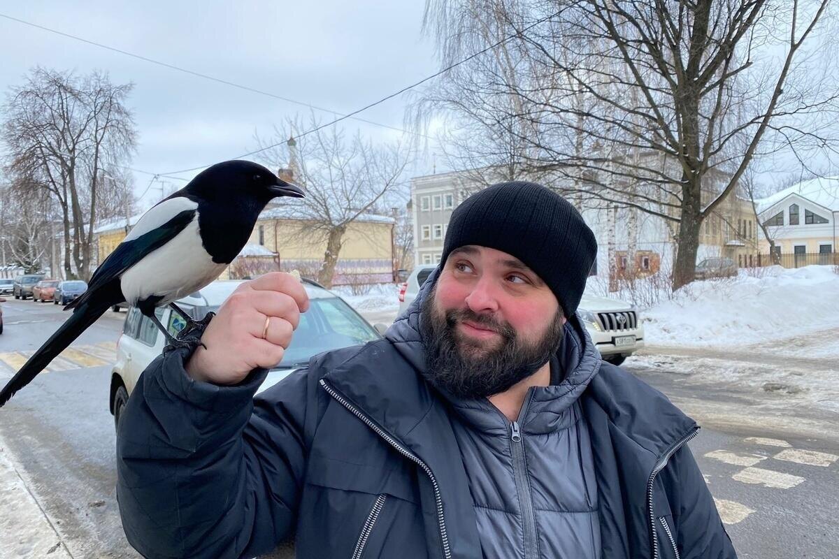 Фото с сайта: https://yar.mk.ru/social/2023/02/19/v-yaroslavle-zavelas-ruchnaya-soroka.html